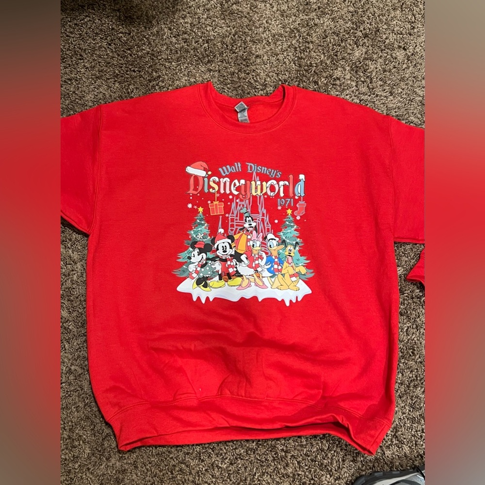 DisneyWorld Sweater